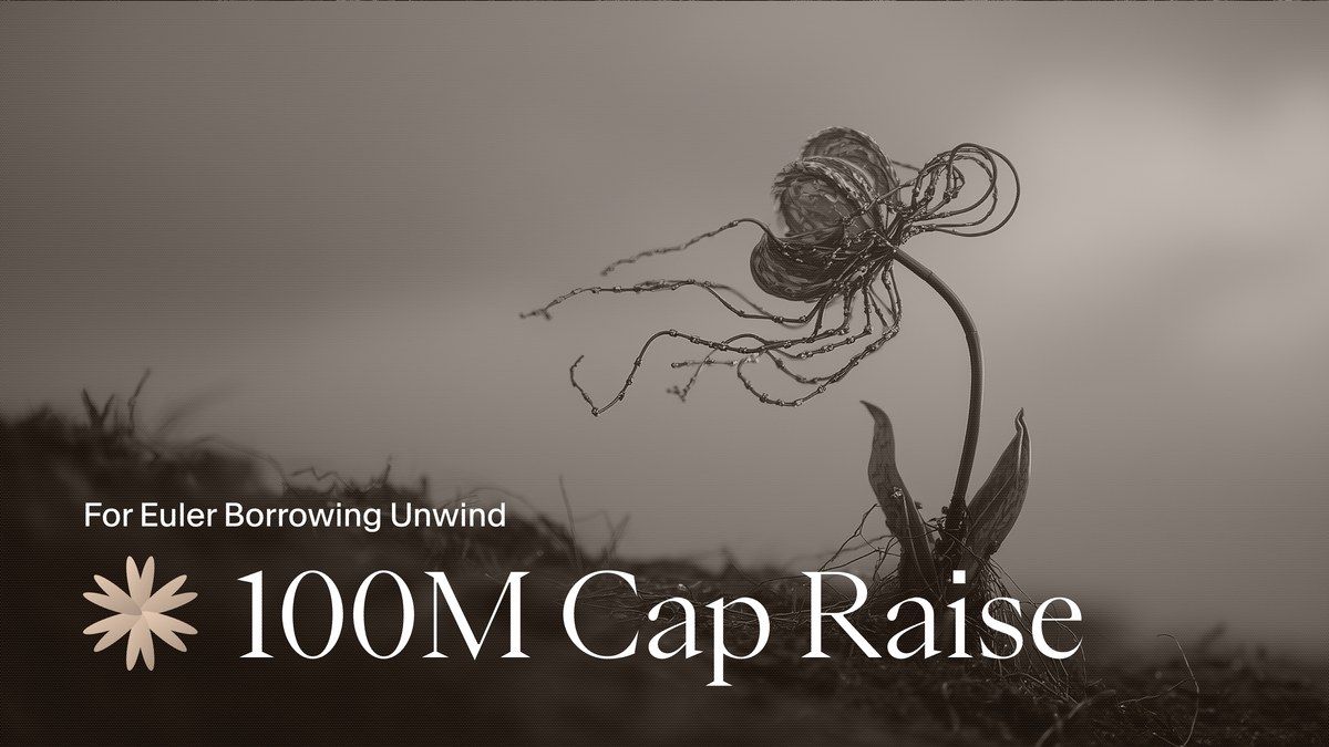 USDai $100m Cap Raise for Euler Unwind