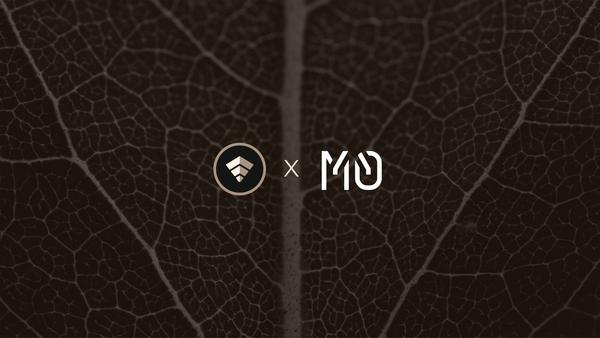 USD.AI is Powered By M^0