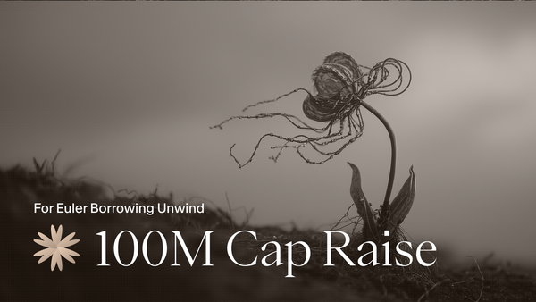 USDai $100m Cap Raise for Euler Unwind